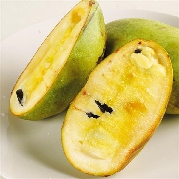 Amazon.co.jp: 冷凍保存 ポポー 幻の果実 500g 1パック - マンゴー科の